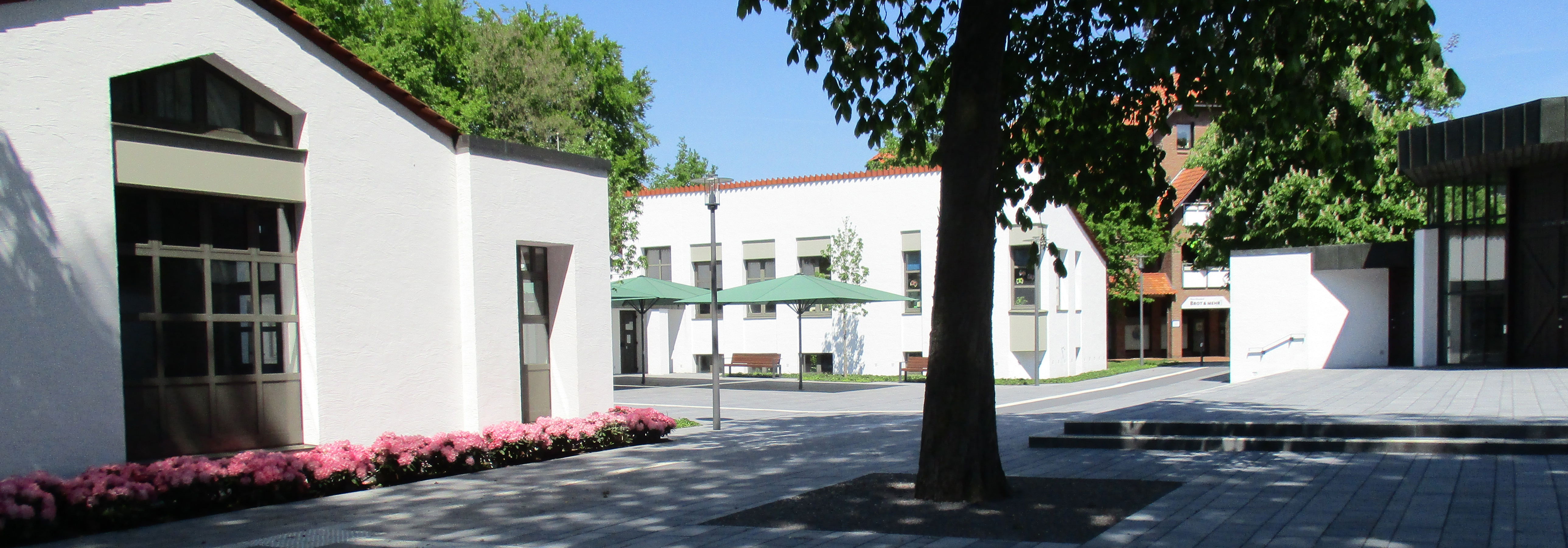 Die Wirtschaft muss brummen. Nicht der Kopf.