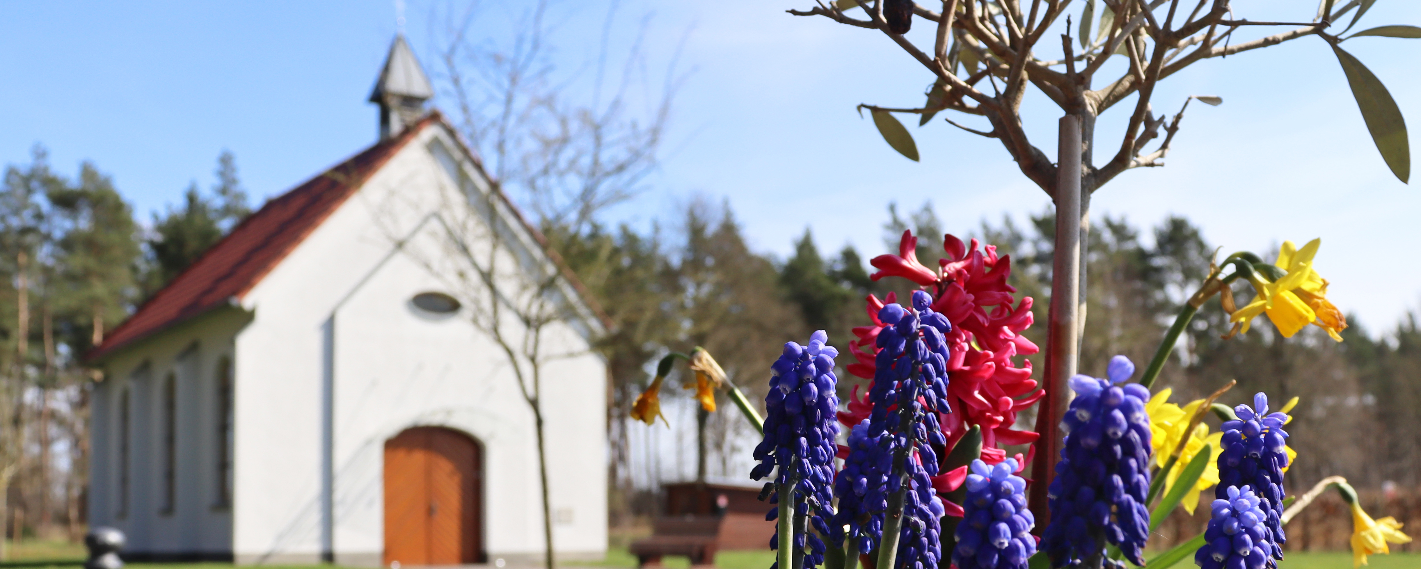 Die Wirtschaft muss brummen. Nicht der Kopf.